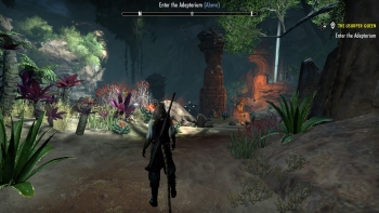 The Elder Scrolls Online: Elsweyr Screenshot
